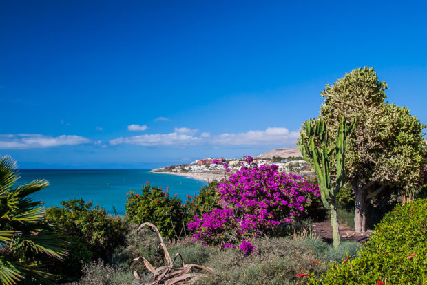 unicef fuerteventura